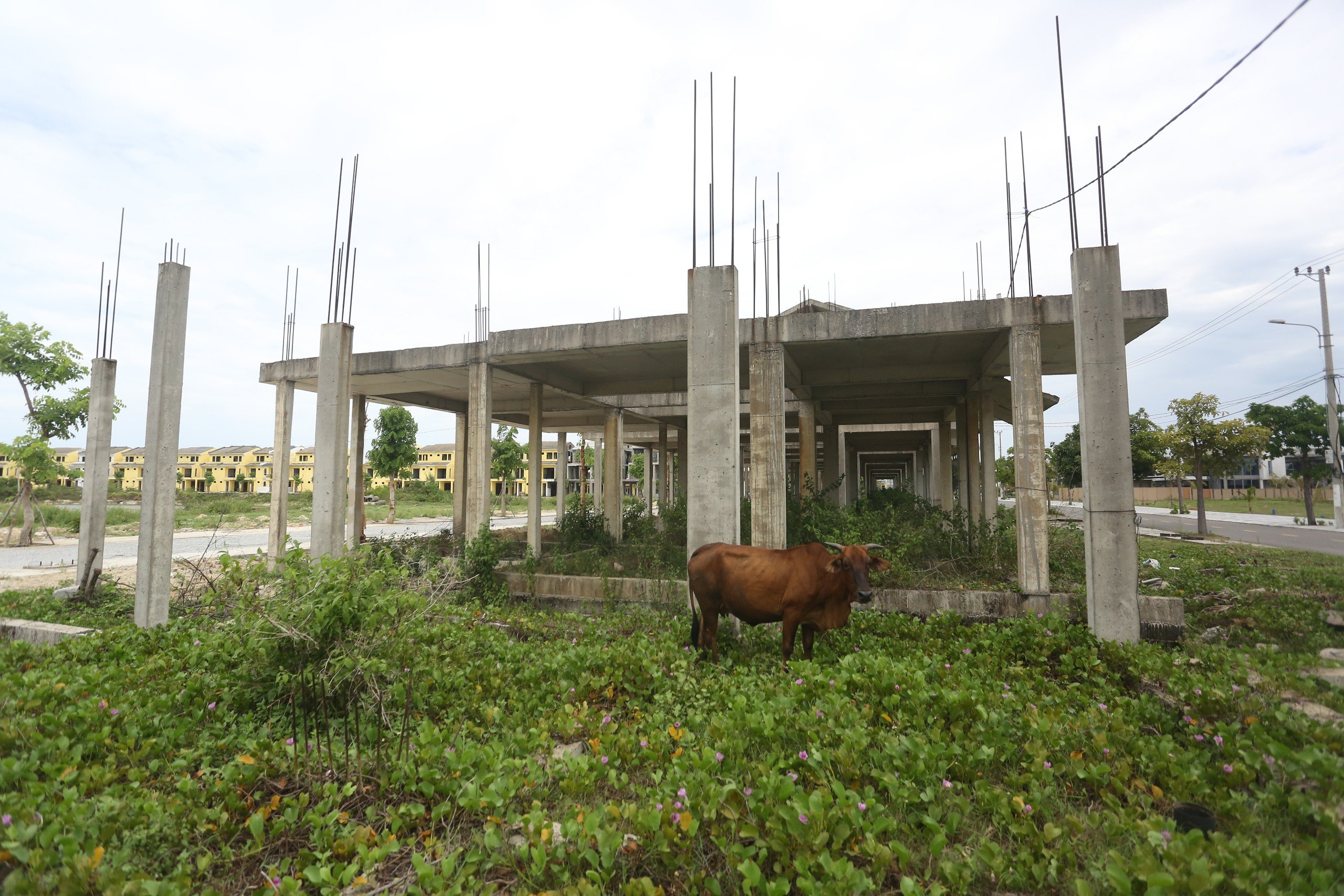 Quảng Nam b&aacute;o c&aacute;o về 