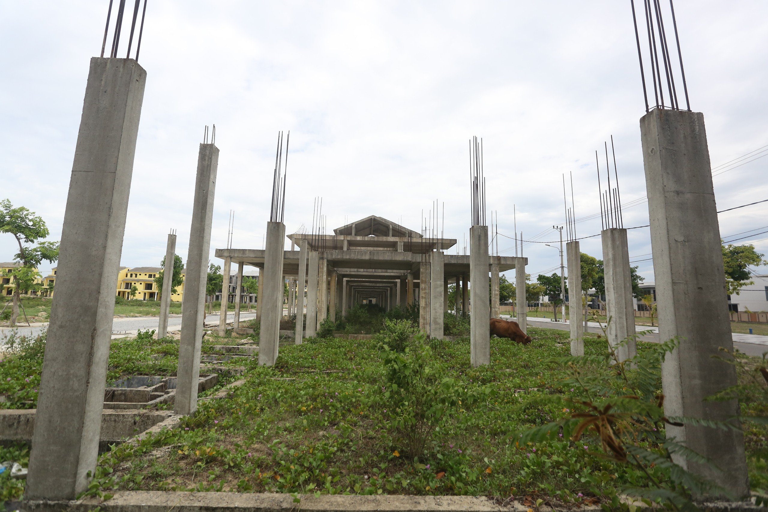 Quảng Nam b&aacute;o c&aacute;o về 