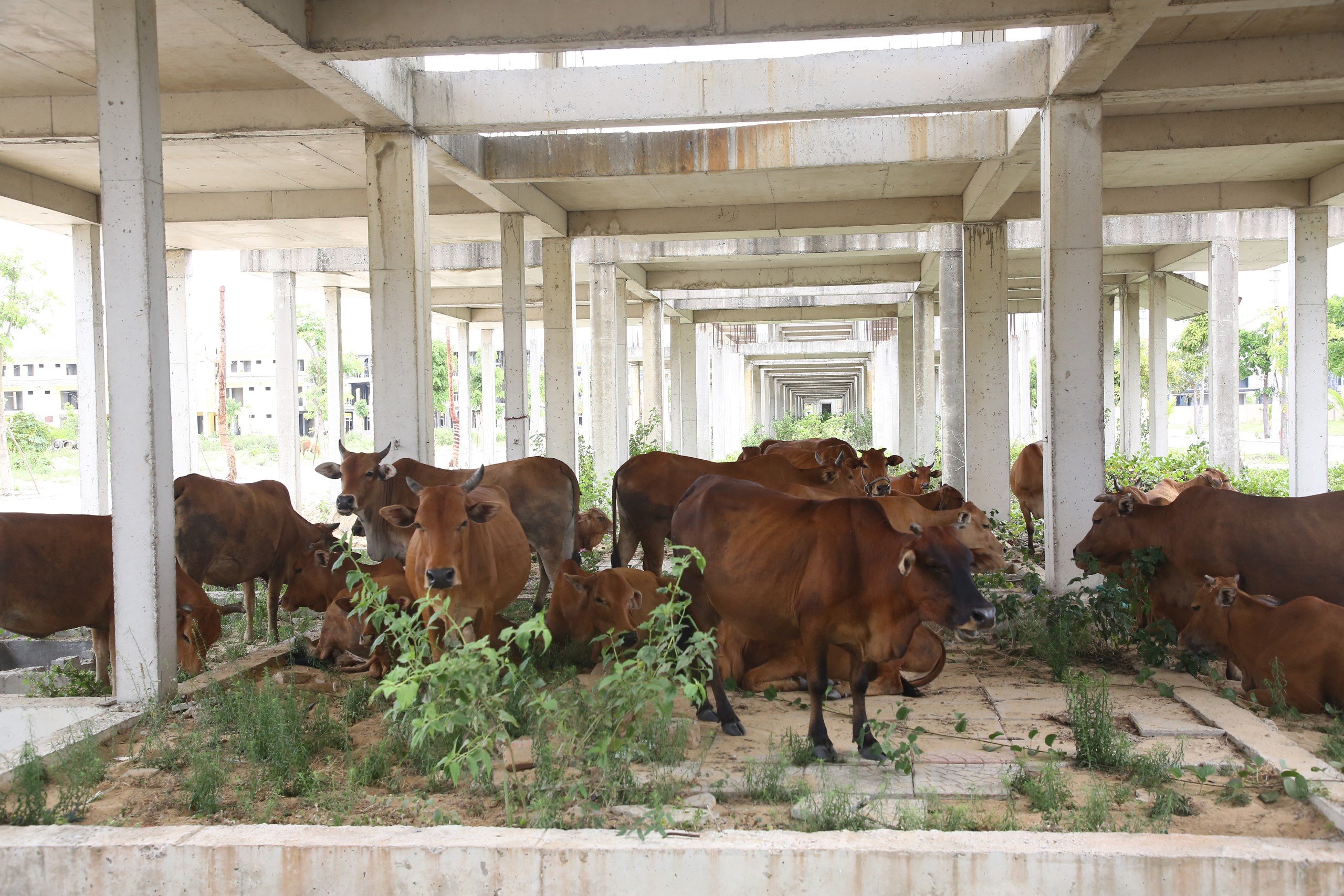 Quảng Nam b&aacute;o c&aacute;o về 