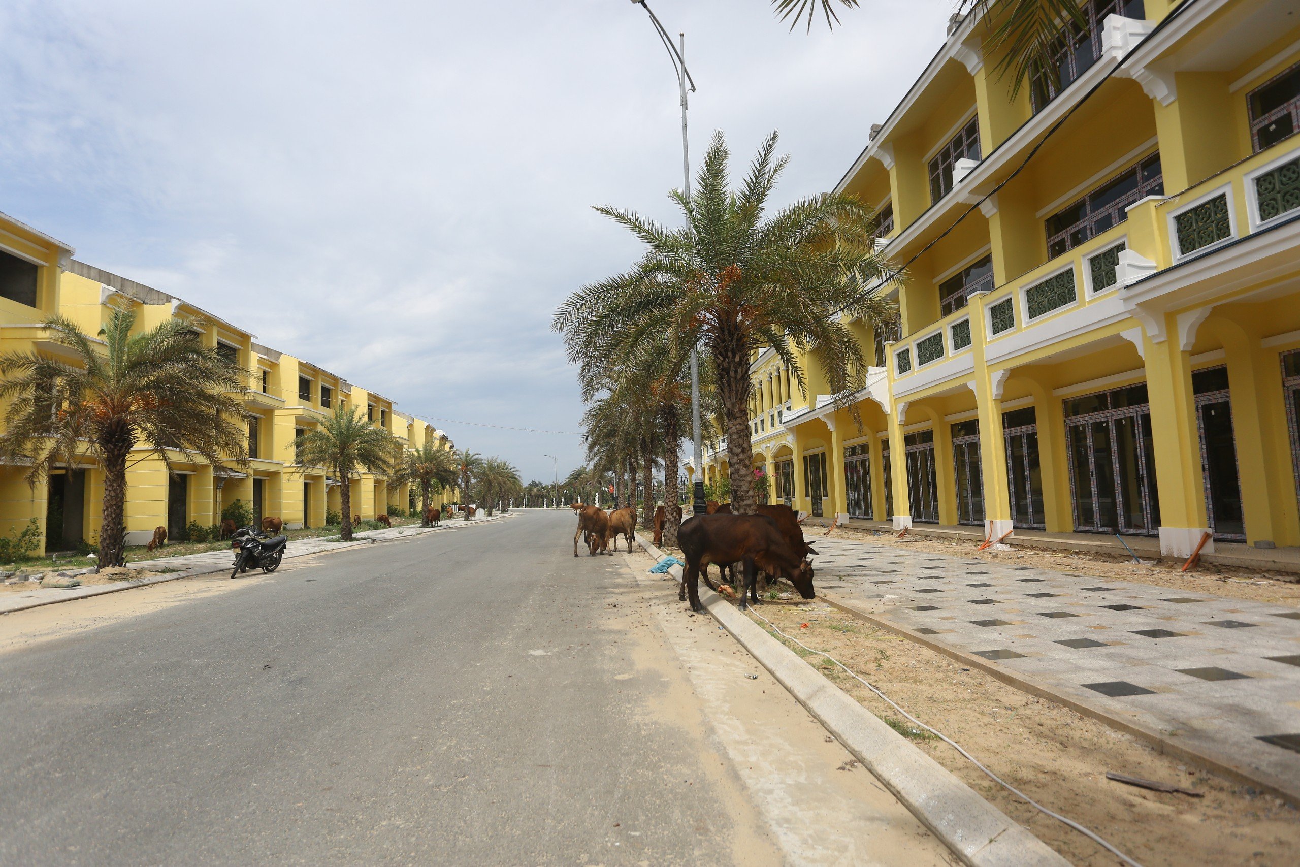 Quảng Nam b&aacute;o c&aacute;o về 