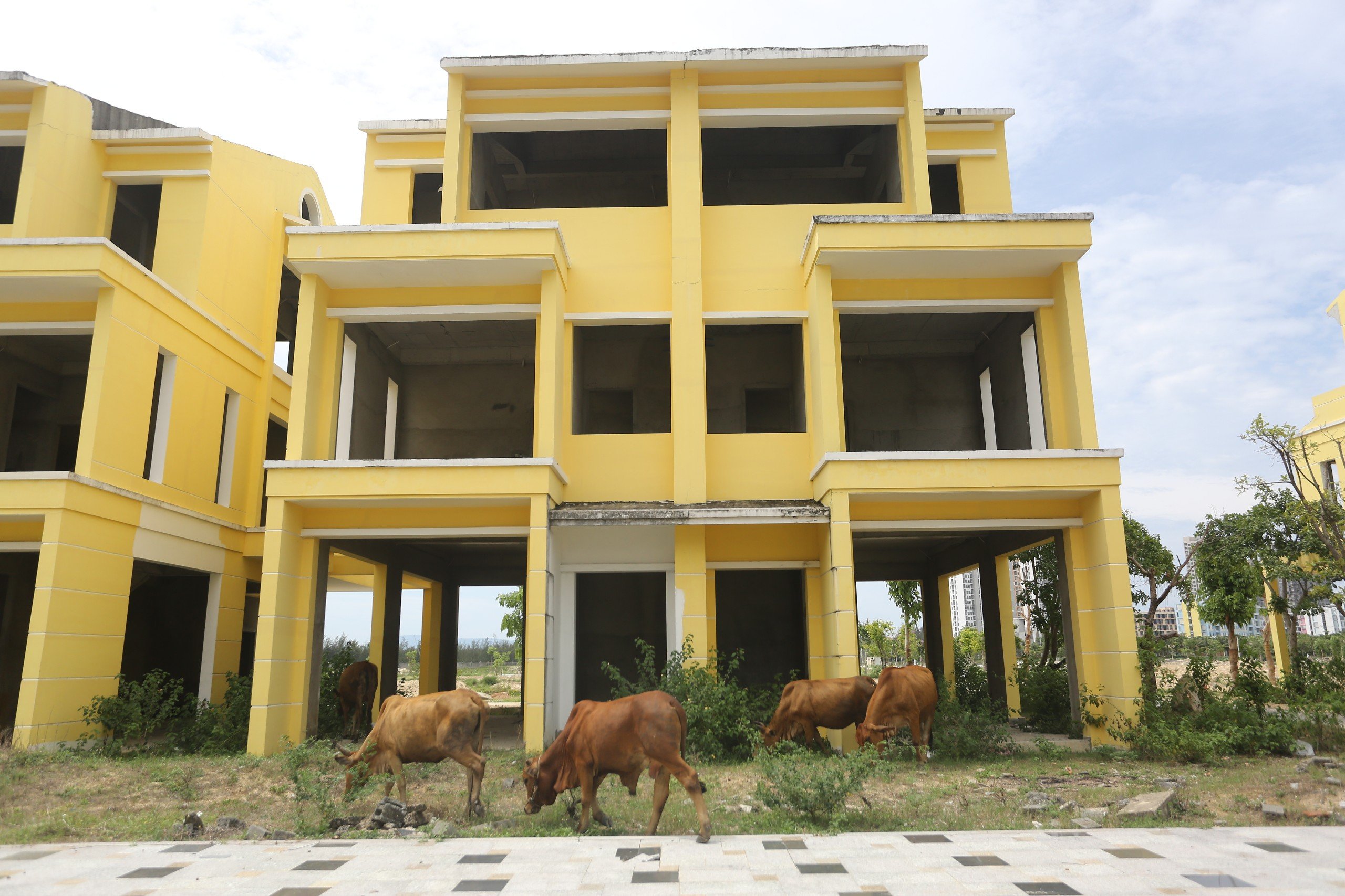 Quảng Nam b&aacute;o c&aacute;o về 