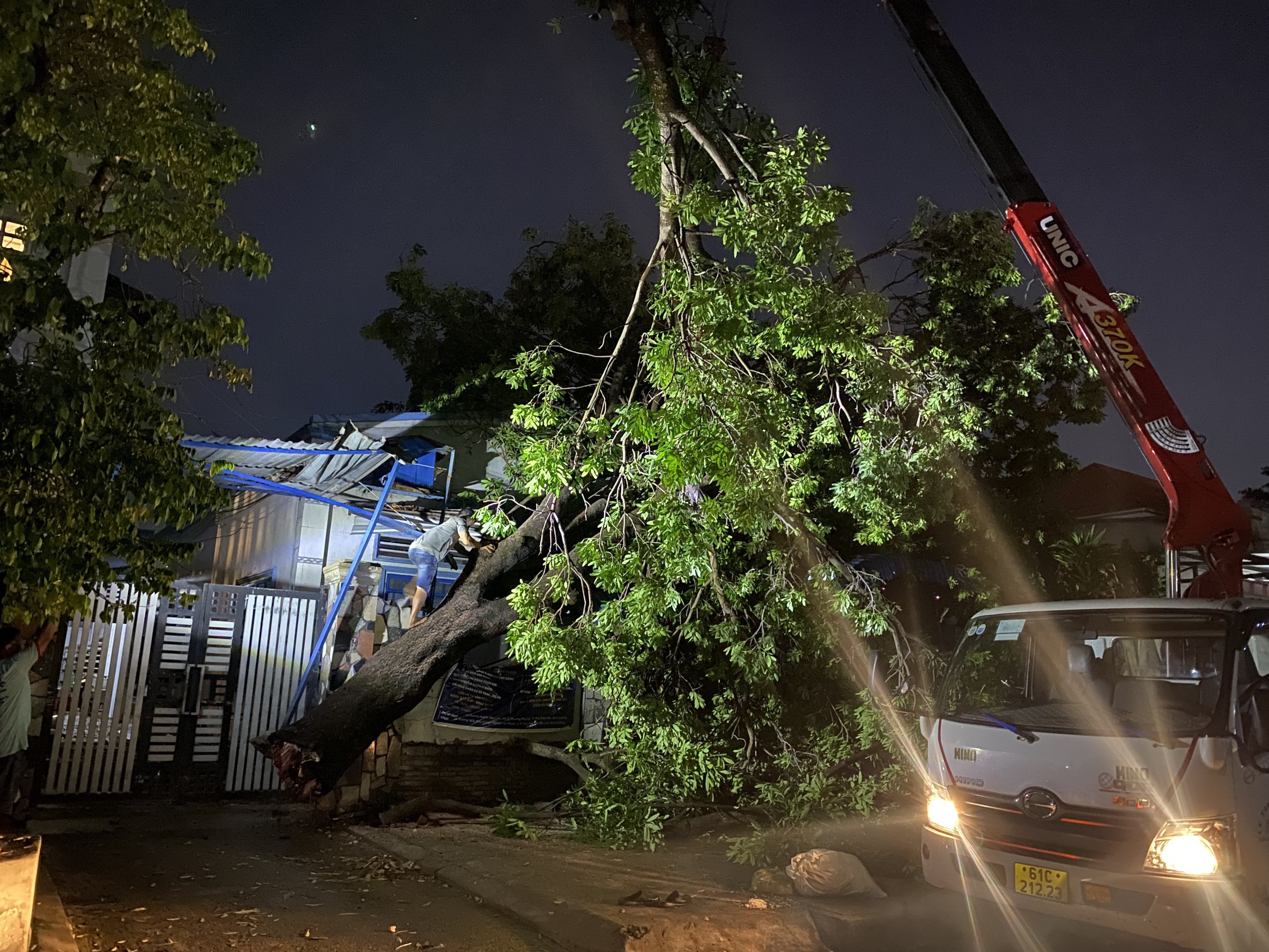 C&acirc;y đổ khi mưa lớn k&egrave;m gi&ocirc;ng lốc: Khẩn trương xử l&yacute; hiện trường - Ảnh 1.
