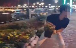 Chuyện có thật ở Đà Nẵng, trộm cây rồi đăng clip lên TikTok câu view