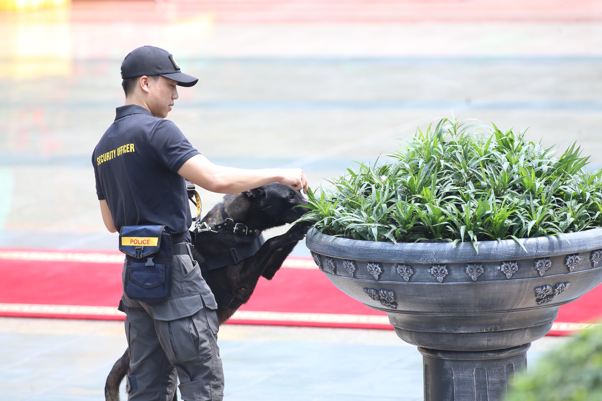 Phủ Chủ tịch trước lễ đ&oacute;n Tổng thống Nga Putin- Ảnh 5.