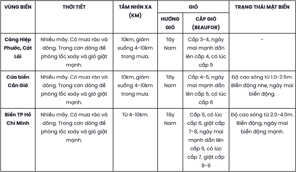Cảnh báo đợt mưa lớn diện rộng ở TP HCM sẽ diễn ra từ ngày 21 đến 26-6- Ảnh 3.