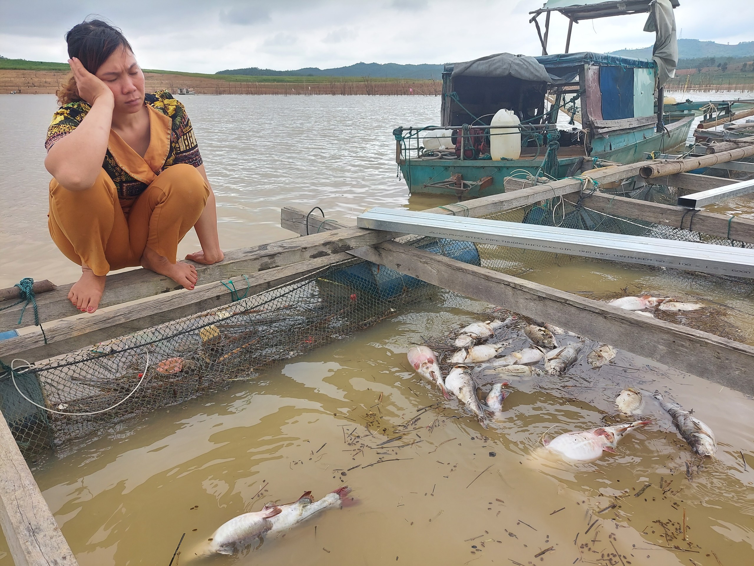 Cá chết trắng lòng hồ thủy điện Yaly: Do lưu lượng nước bất thường?- Ảnh 1.
