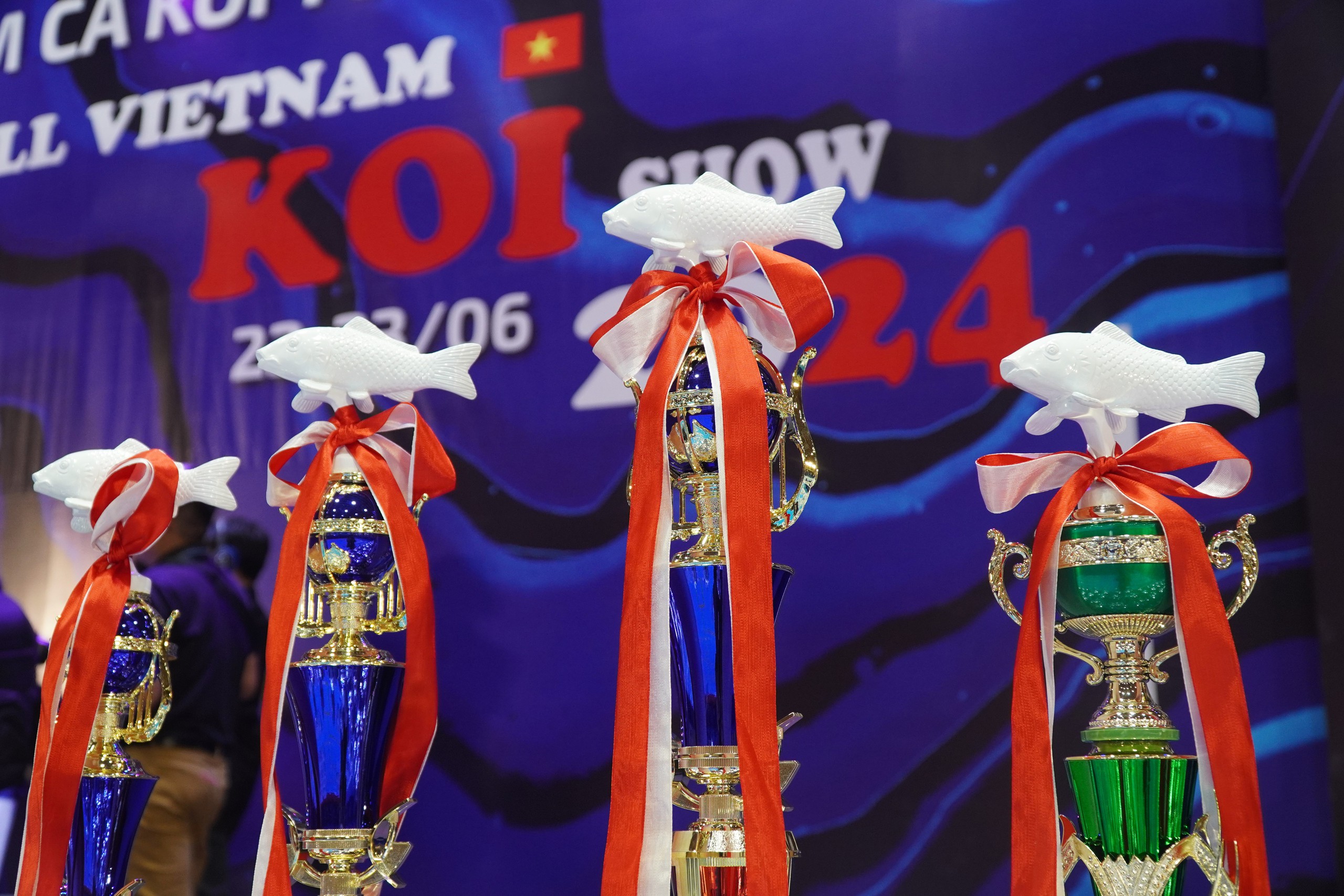 TP HCM: Ngắm c&aacute; Koi d&agrave;i hơn 1 m tại Koishow 2024- Ảnh 9.