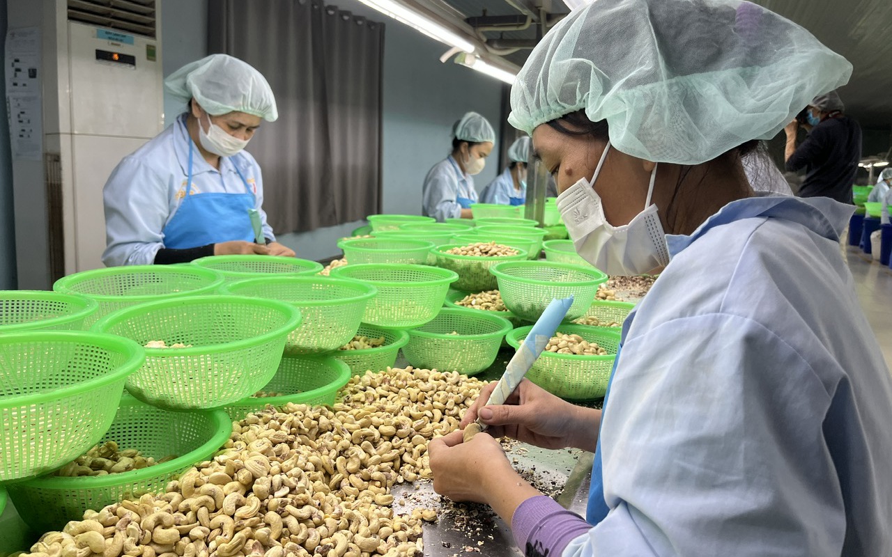 Thực hành ESG để gọi vốn