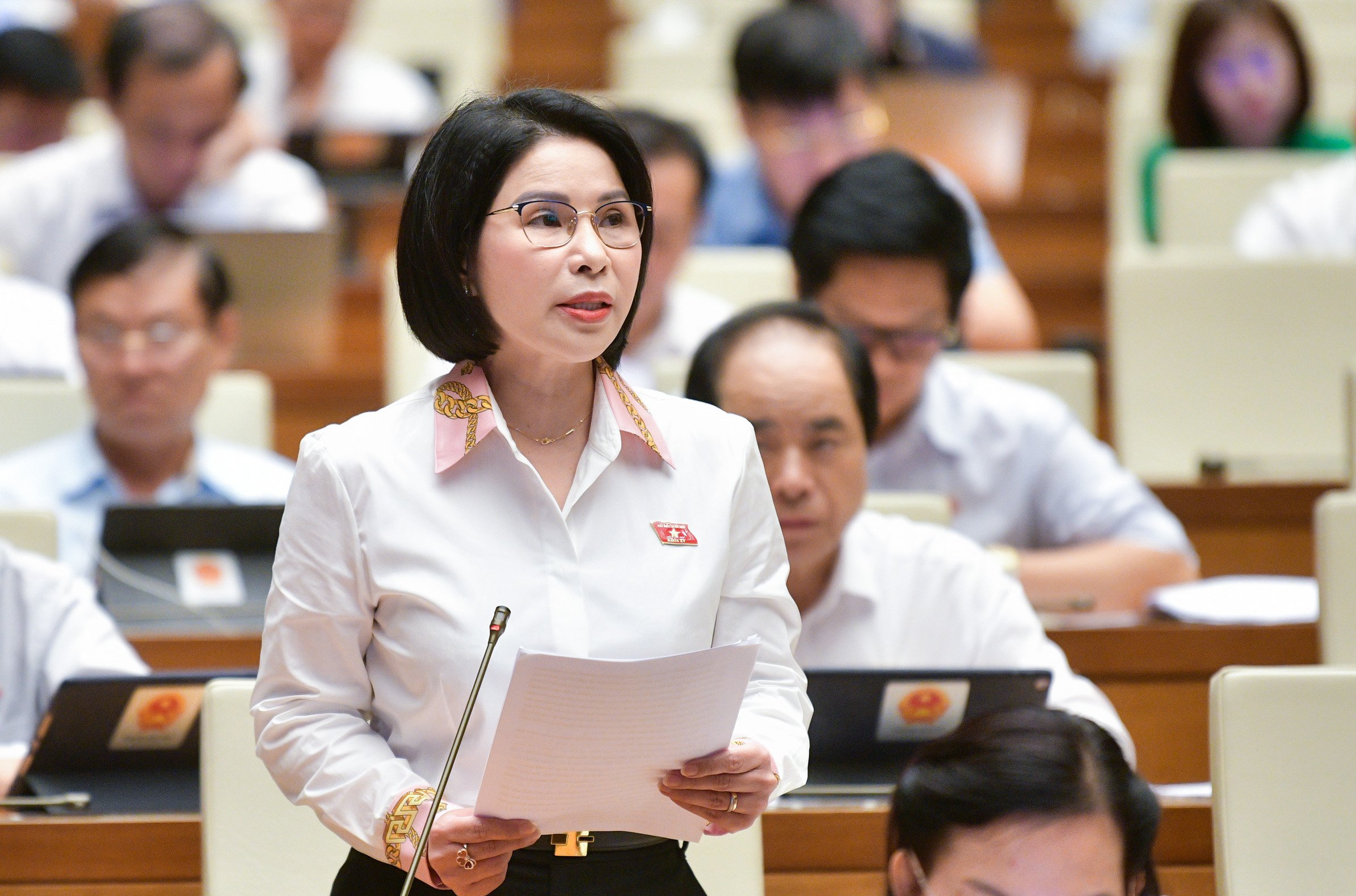 Đại biểu Quốc hội: Xuất hiện t&igrave;nh trạng mua b&aacute;n nam giới- Ảnh 2.
