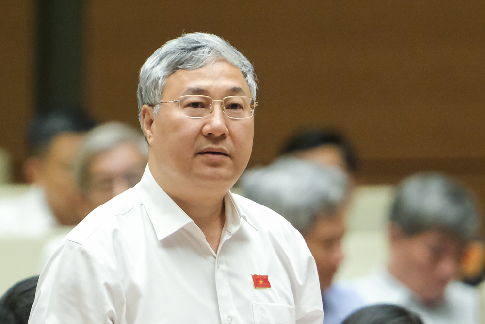 ĐBQH: Đ&aacute;nh thuế VAT 5% với ph&acirc;n b&oacute;n, kh&ocirc;ng n&ecirc;n thu của người ngh&egrave;o trả cho người gi&agrave;u- Ảnh 2.