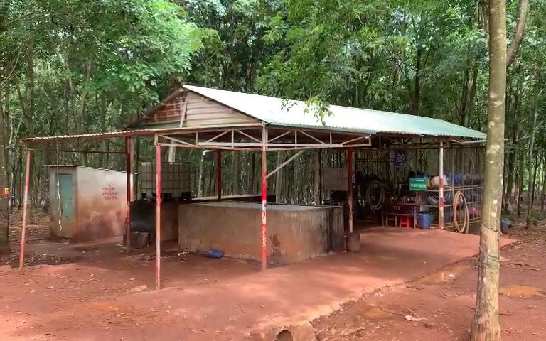 Vì sao bảo vệ nông trường cao su ở Bình Phước bị tấn công?