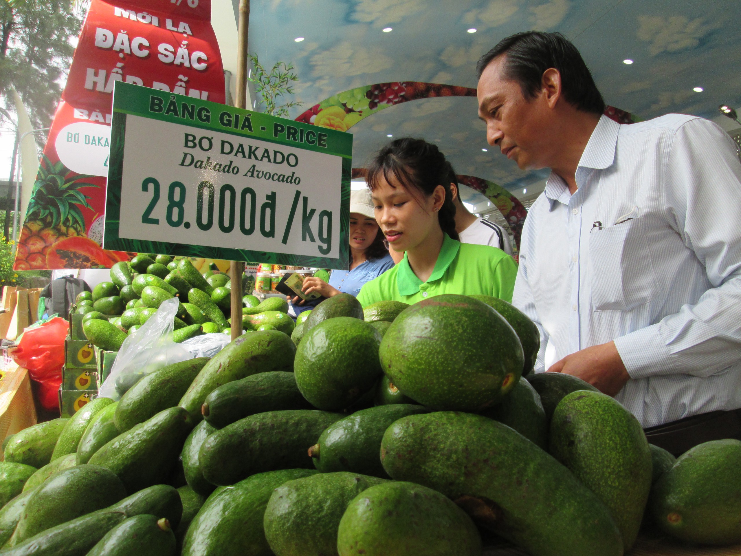 Gi&aacute; bơ 034 c&oacute; trở lại thời ho&agrave;ng kim nếu được xuất khẩu sang Trung Quốc?- Ảnh 1.