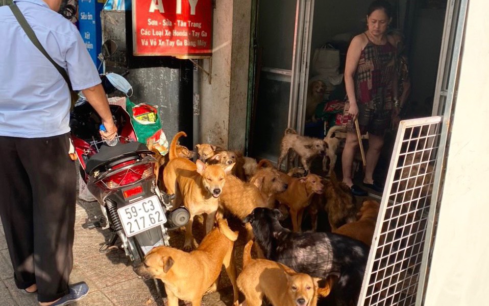 Điên đầu với thú nuôi: Xử phạt nghiêm các trường hợp vi phạm