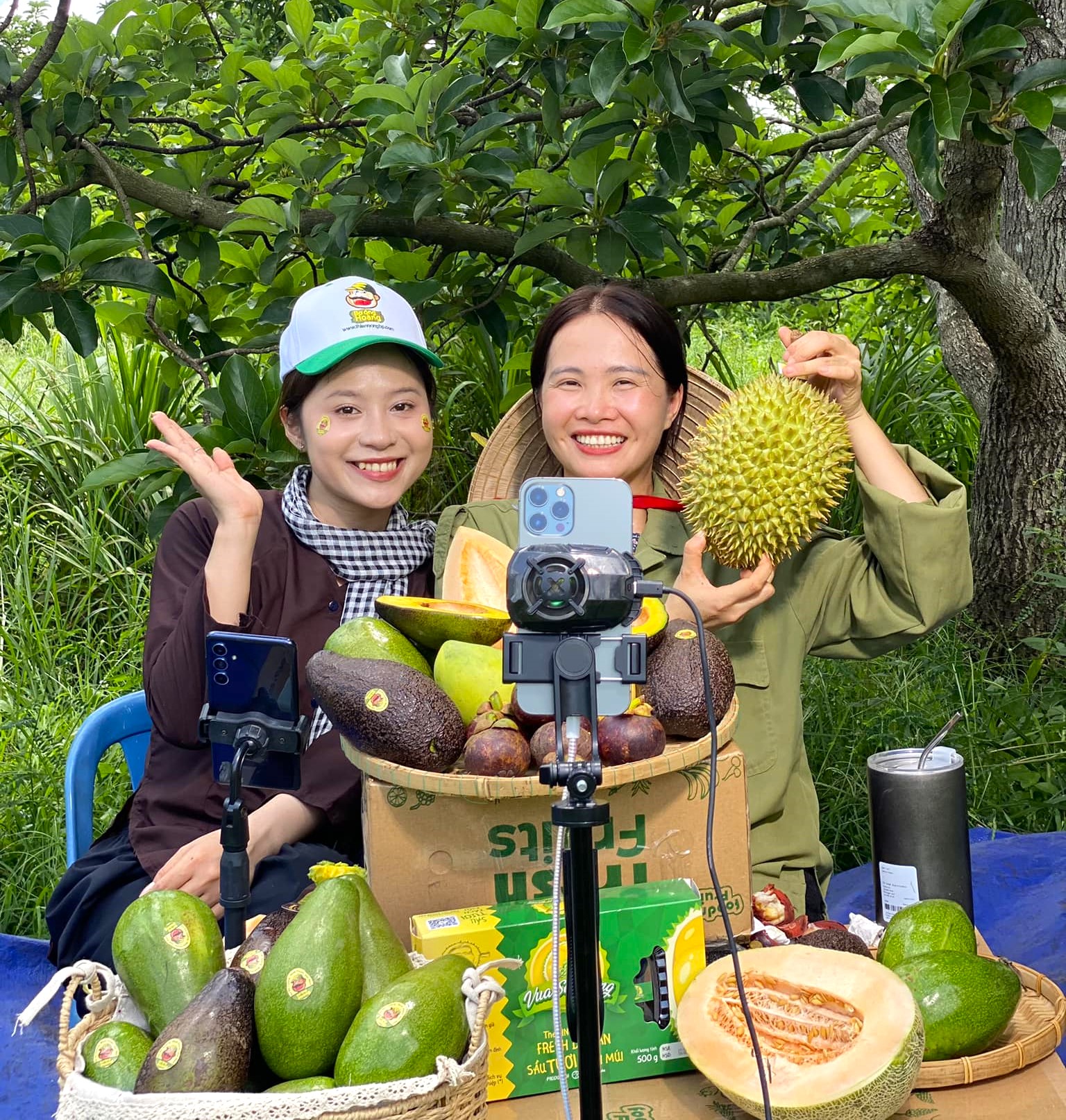 Hana Ban Mê và Chúc Anh thực hiện livestream tại vườn bơ Mã Dưỡng ở Bình Phước, tạo cảm giác "người thật việc thật" để người dùng yên tâm mua trái cây qua sóng Shopee Live