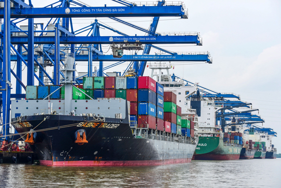 T&agrave;u cập cảng C&aacute;t L&aacute;t (TP HCM) để l&ecirc;n xuống h&agrave;ng xuất nhập khẩu Ảnh: HO&Agrave;NG TRIỀU