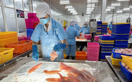 Gi&aacute; xuất khẩu c&aacute; tra sẽ tăng 10%