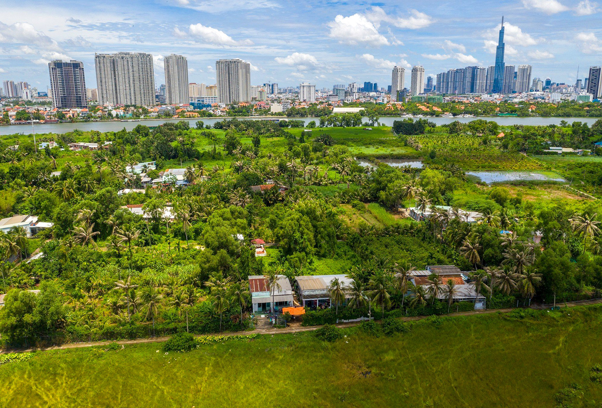 Nhiều kỳ vọng v&agrave;o "vi&ecirc;n ngọc qu&yacute;"- Ảnh 1.
