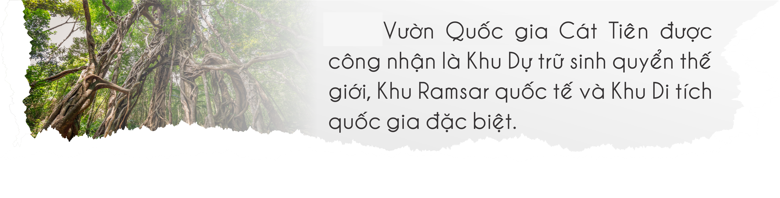 Mùa hè vào Vườn Quốc gia Cát Tiên ngắm thú đêm, xem bướm- Ảnh 2.