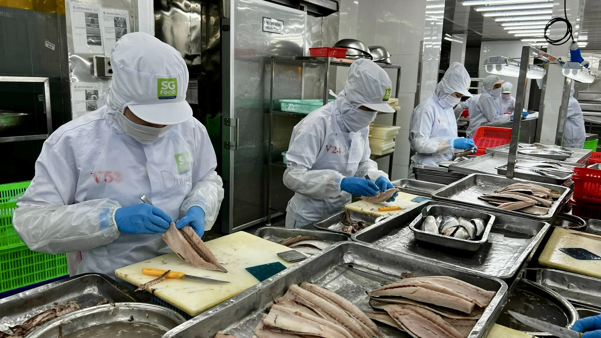 Sớm chốt phương &aacute;n r&uacute;t BHXH một lần- Ảnh 2.