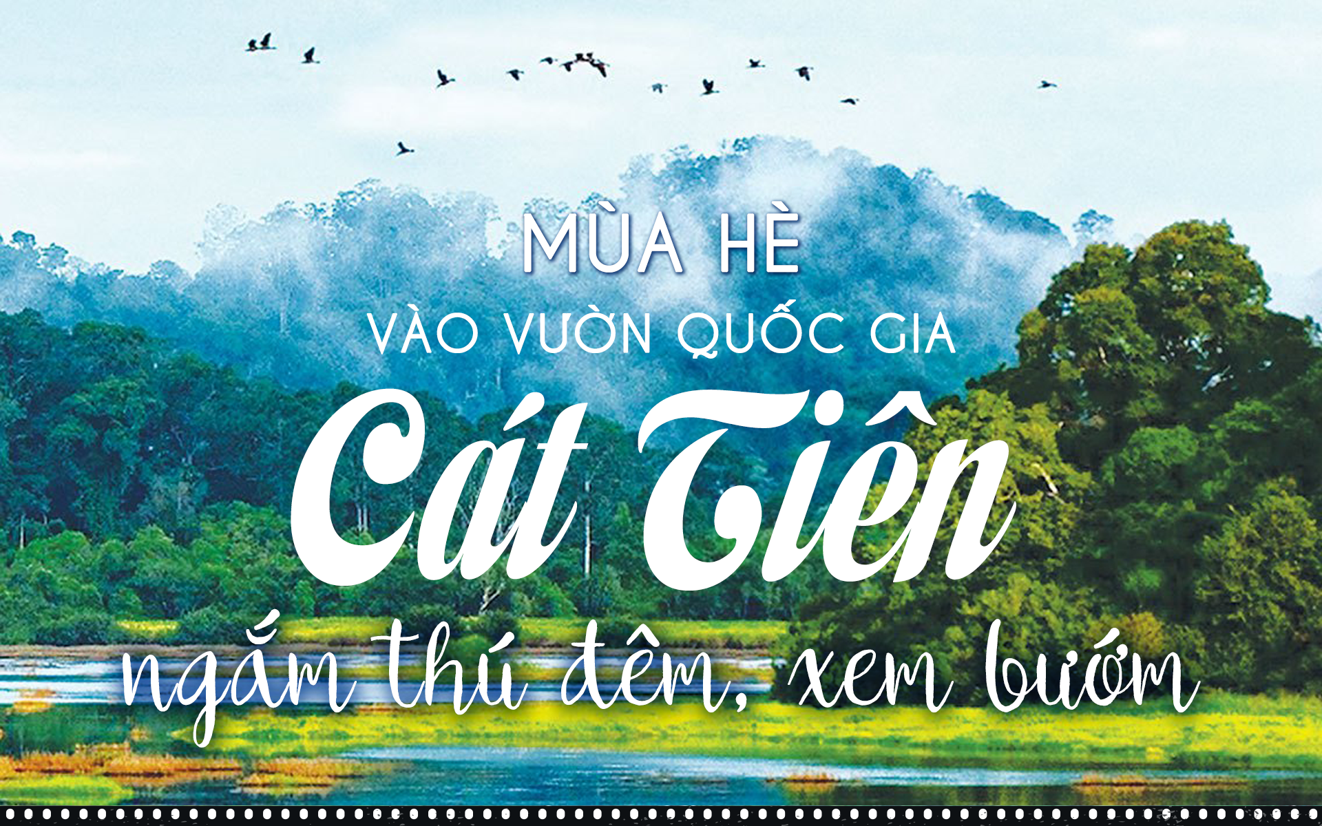 Mùa hè vào Vườn Quốc gia Cát Tiên ngắm thú đêm, xem bướm
