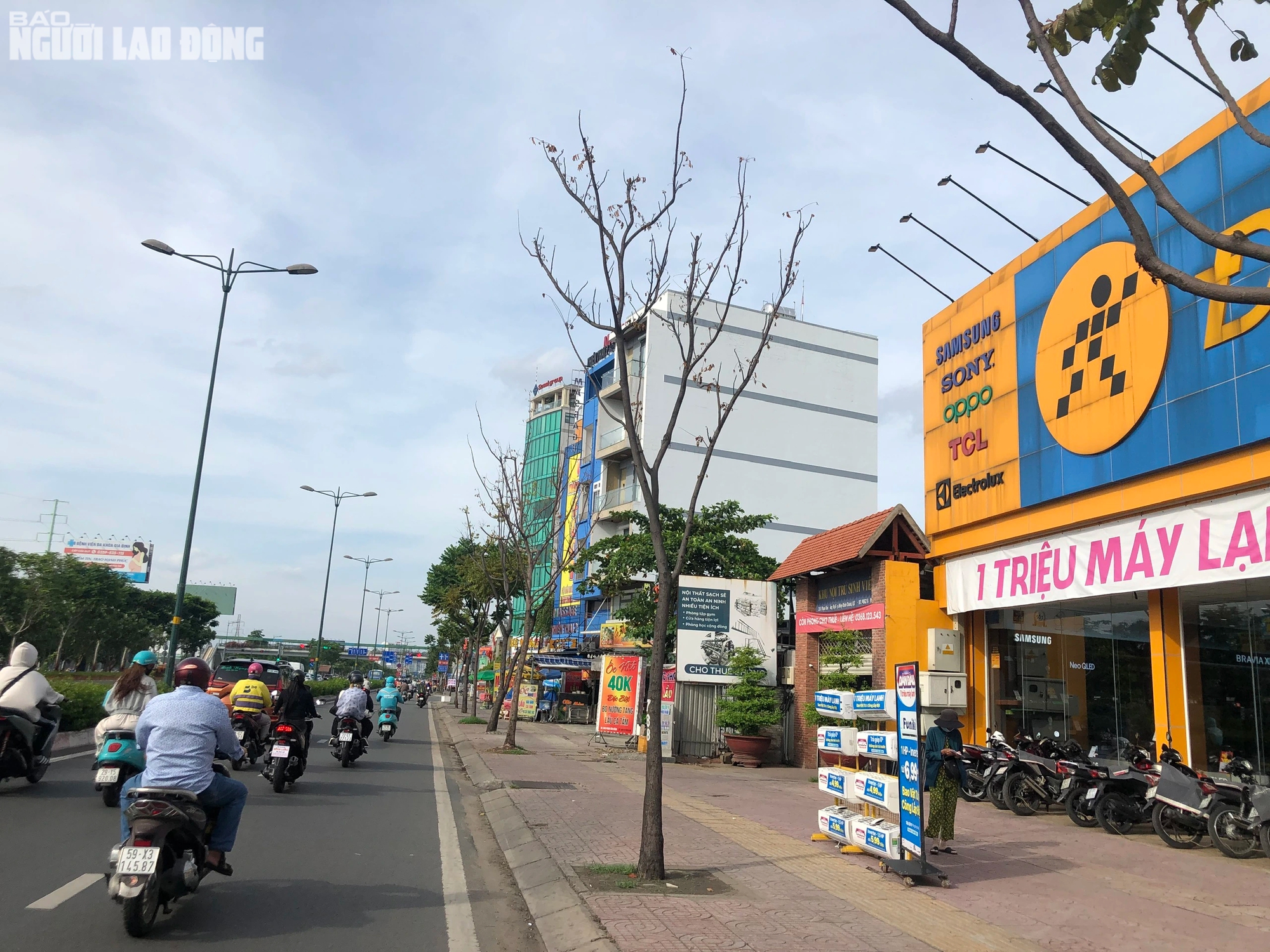 TP HCM: H&agrave;ng loạt c&acirc;y xanh tr&ecirc;n đường Phạm Văn Đồng chết kh&ocirc; do 