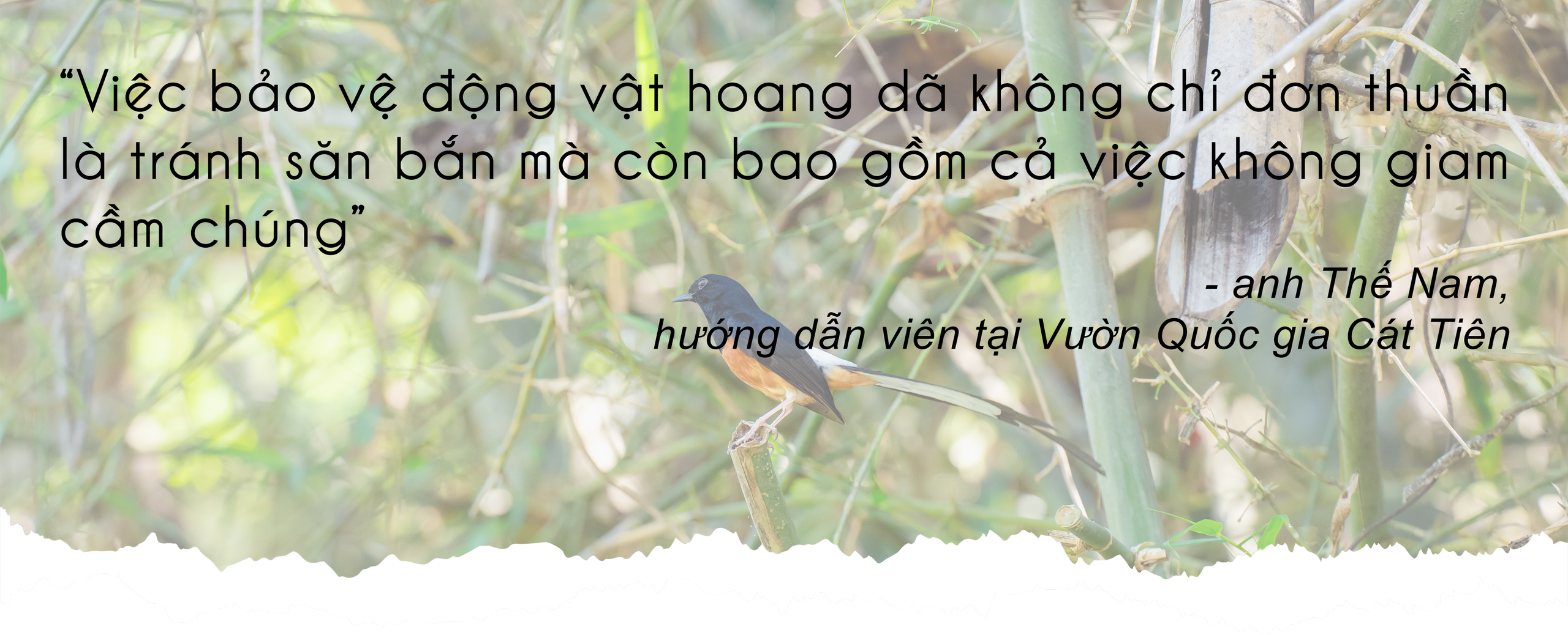 Mùa hè vào Vườn Quốc gia Cát Tiên ngắm thú đêm, xem bướm- Ảnh 22.