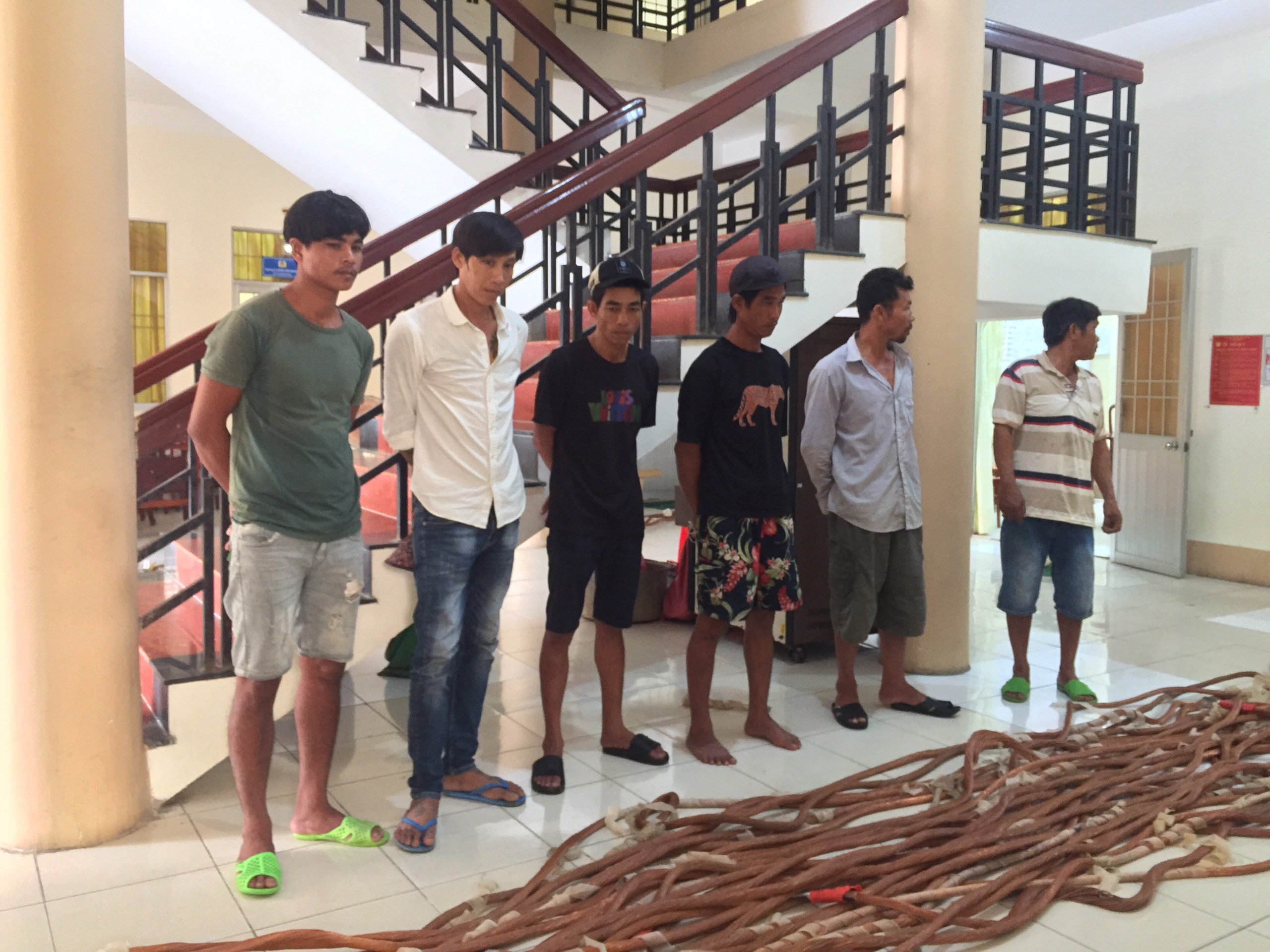 Thông tin mới vụ mất trộm tại nhà máy Điện gió ở Cà Mau- Ảnh 1.