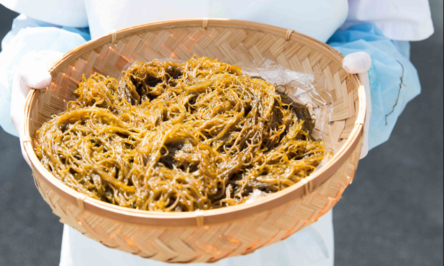 Lợi ích tuyệt vời của chất fucoidan từ tảo nâu Okinawa đối với sức khỏe- Ảnh 1.