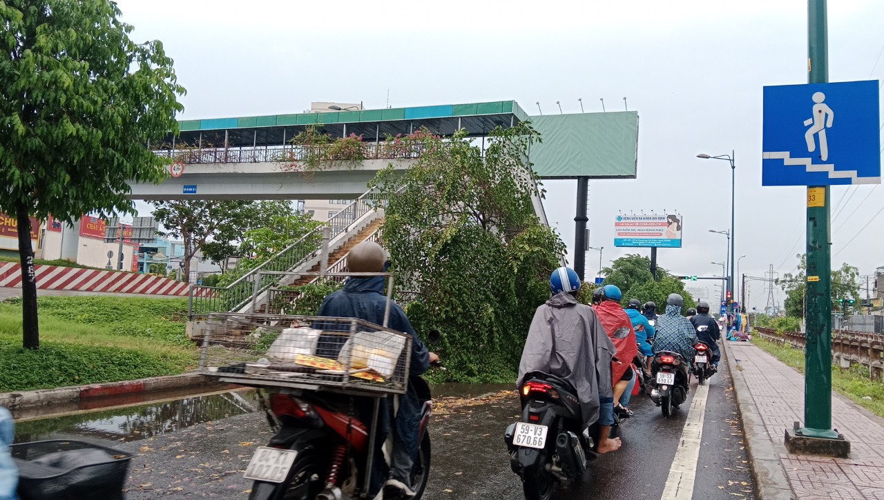 TP HCM hứng mưa to, đ&atilde; c&oacute; c&acirc;y ng&atilde; v&agrave; nhiều nơi ngập s&acirc;u- Ảnh 4.