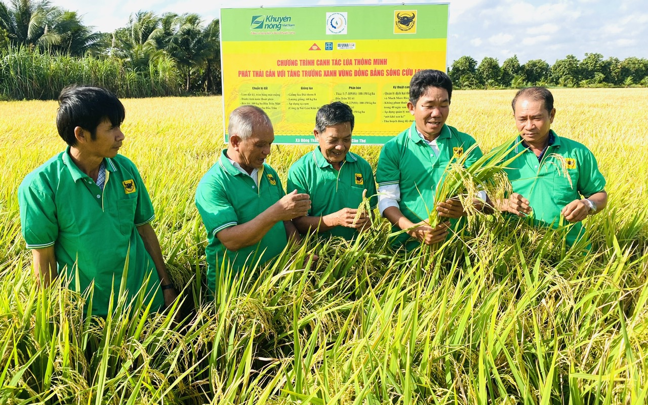 Triển vọng từ canh tác lúa giảm phát thải