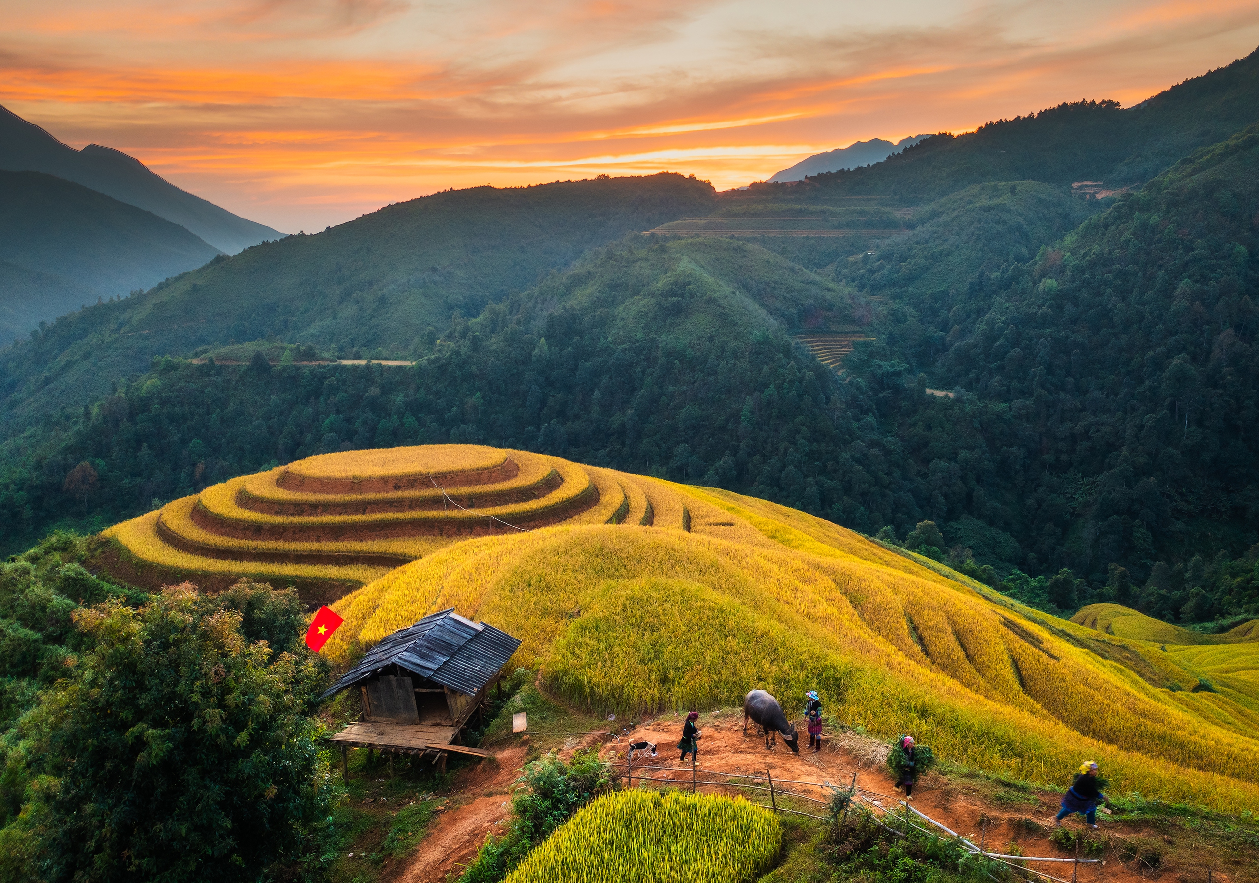 Hoàng hôn trên ruộng bậc thang Mù Cang Chải  Ảnh: VŨ PHI LONG