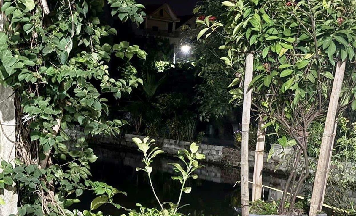 3 cháu nhỏ từ 3-4 tuổi chết đuối dưới ao nhà hàng xóm- Ảnh 1.