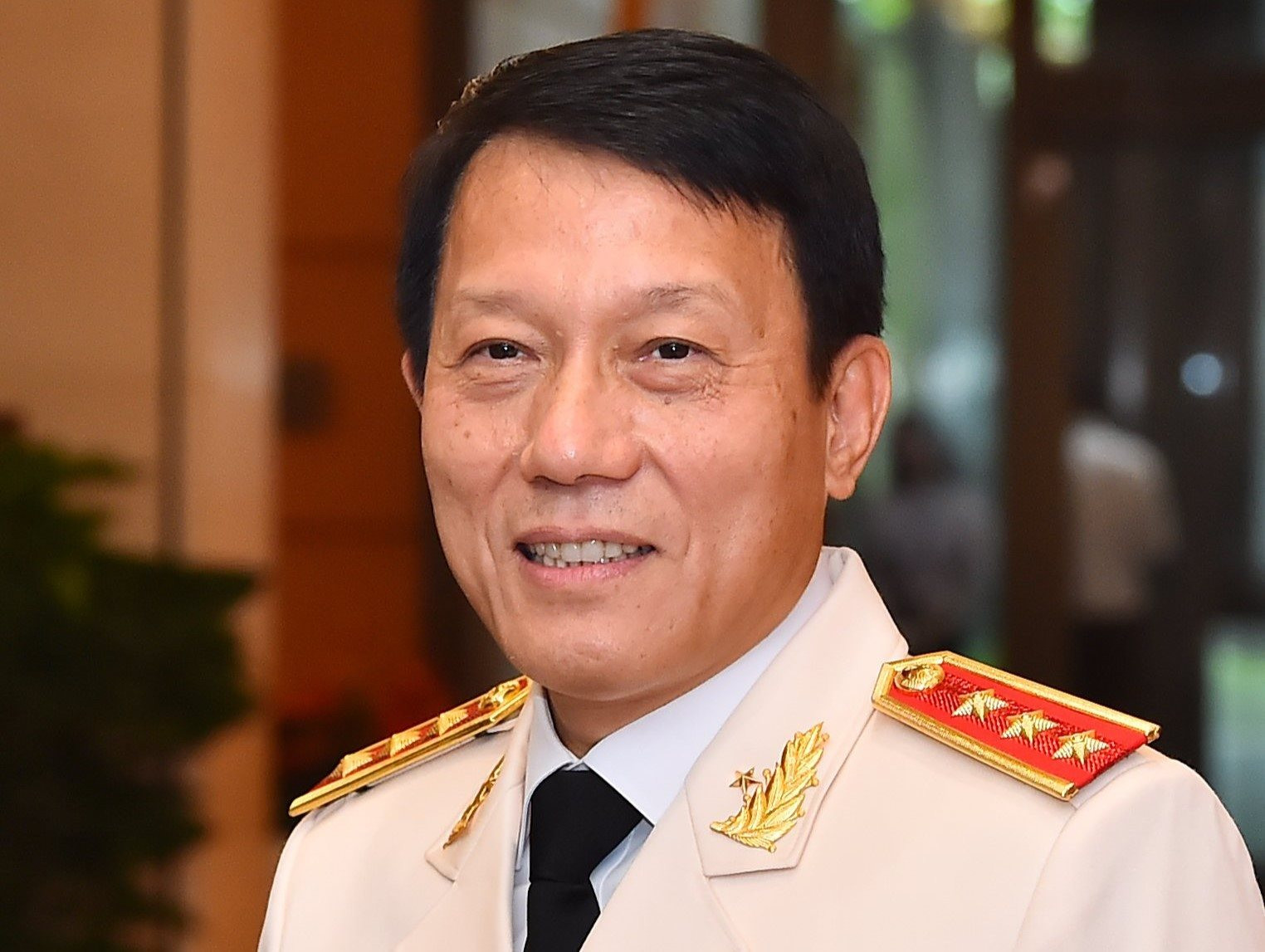 Thủ tướng ph&acirc;n c&ocirc;ng nhiệm vụ cho Bộ trưởng Lương Tam Quang- Ảnh 1.