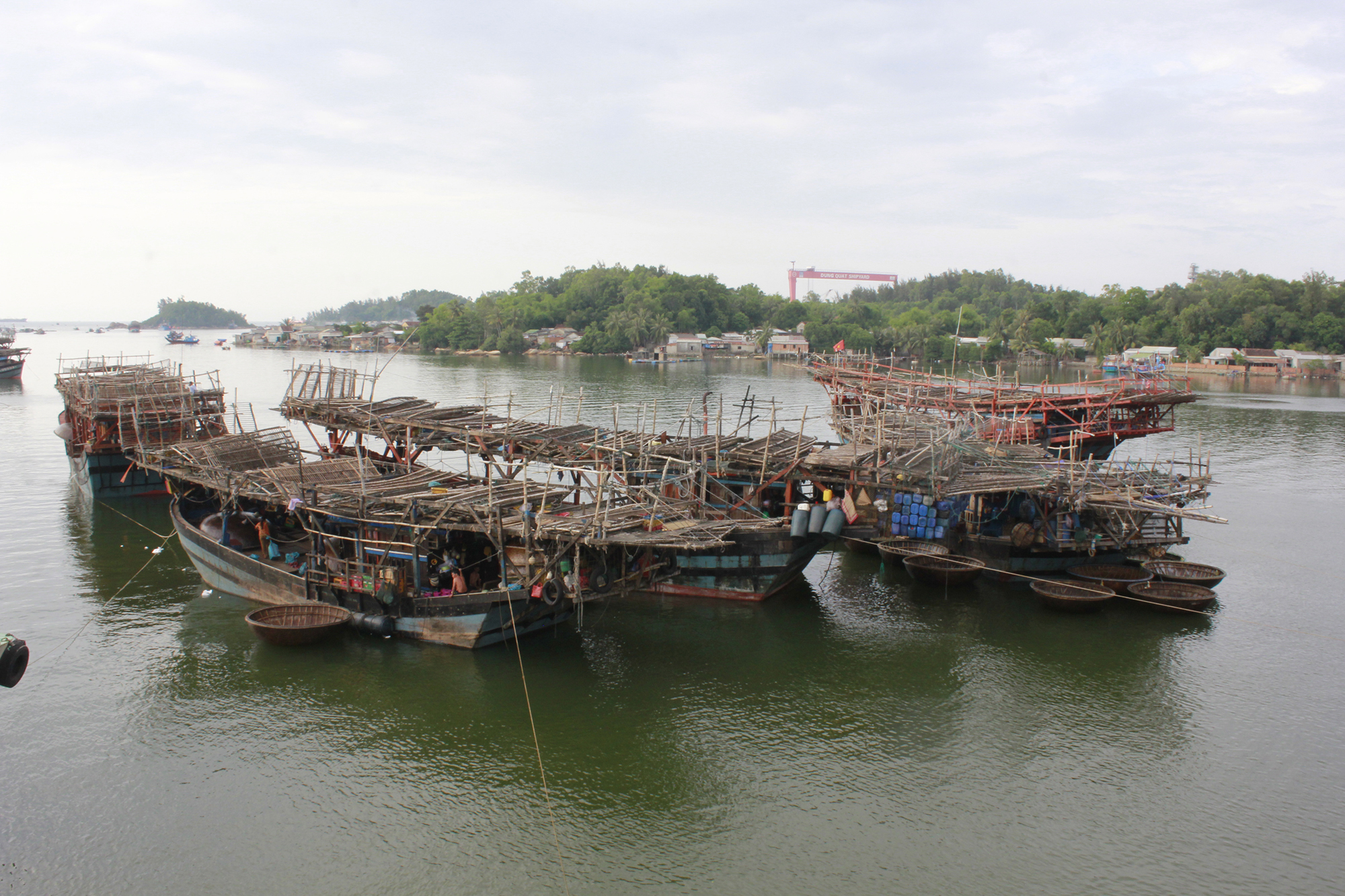 Tôi sẽ về sông nước của quê hương- Ảnh 1.