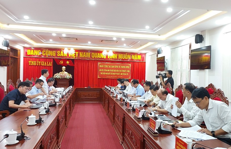 Ban kinh tế Trung ương l&agrave;m việc với tỉnh Gia Lai, nhiều kiến nghị quan trọng - Ảnh 3.