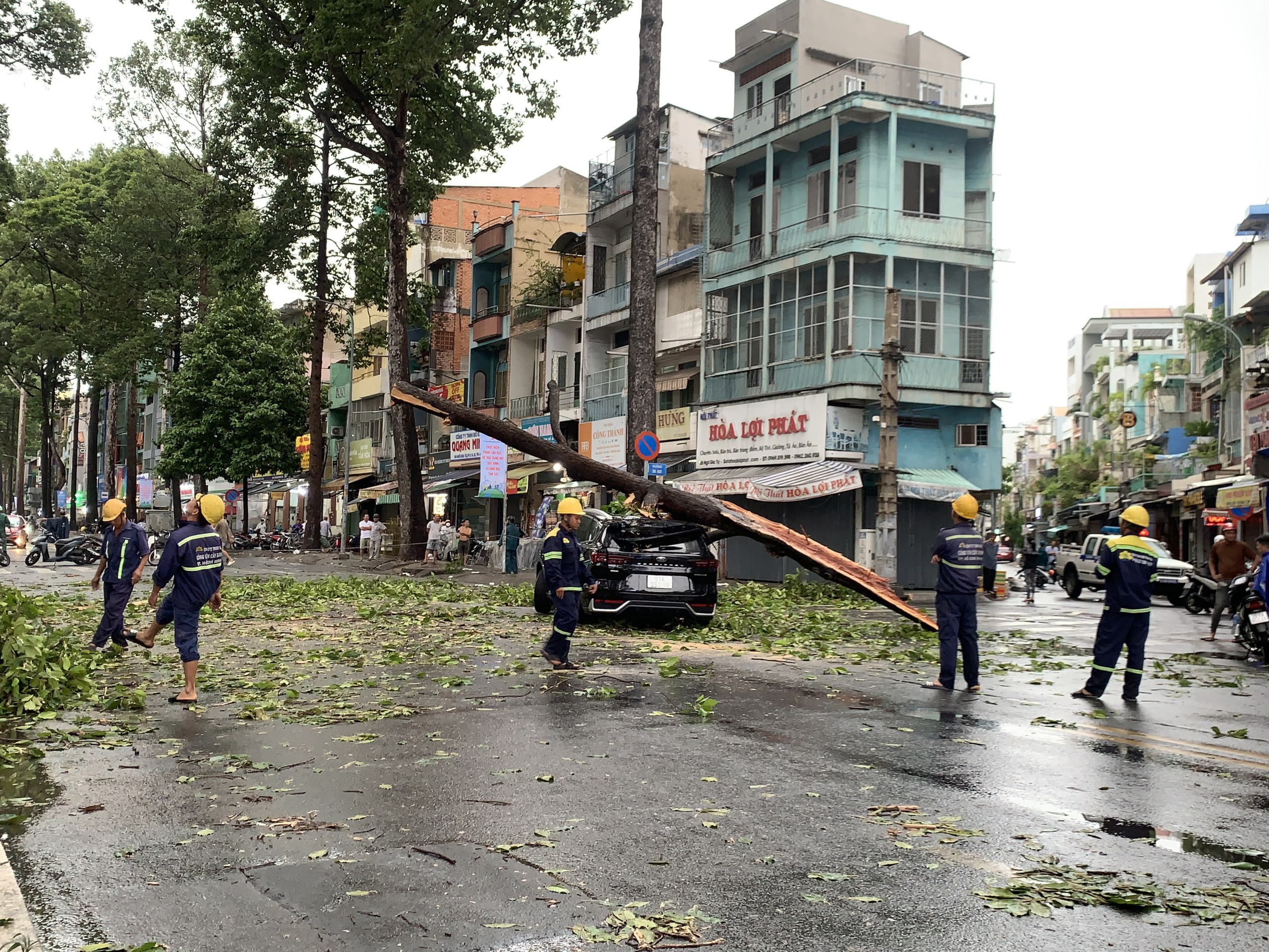 TP HCM: Nhiều c&acirc;y xanh bật gốc, &ocirc; t&ocirc; gặp nạn tr&ecirc;n đường Ng&ocirc; Gia Tự 
- Ảnh 3.