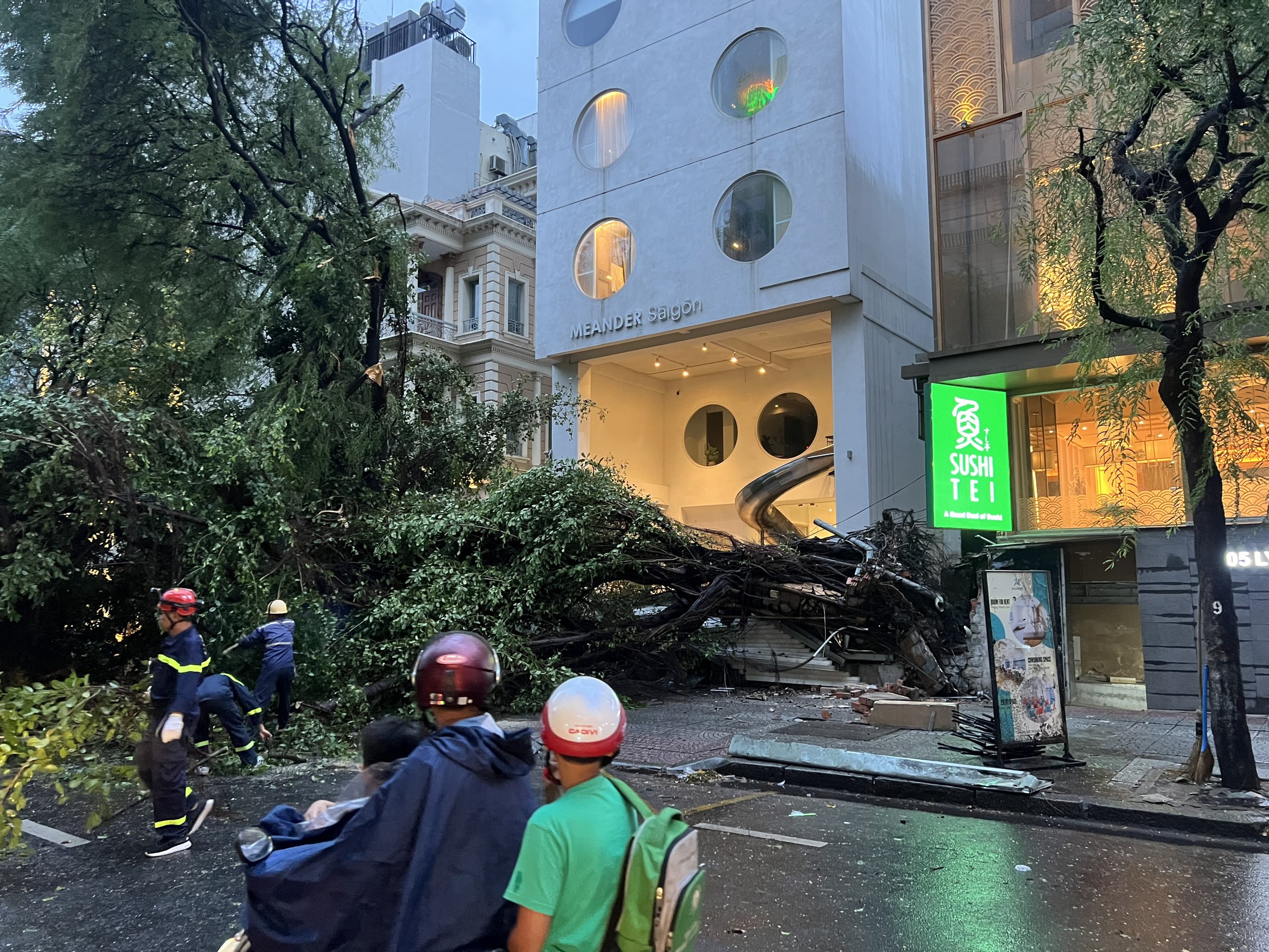 TP HCM: Nhiều c&acirc;y xanh bật gốc, &ocirc; t&ocirc; gặp nạn tr&ecirc;n đường Ng&ocirc; Gia Tự 
- Ảnh 5.