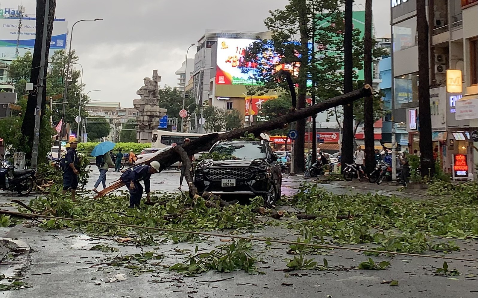TP HCM: Nhiều cây xanh bật gốc, ô tô gặp nạn trên đường Ngô Gia Tự 
