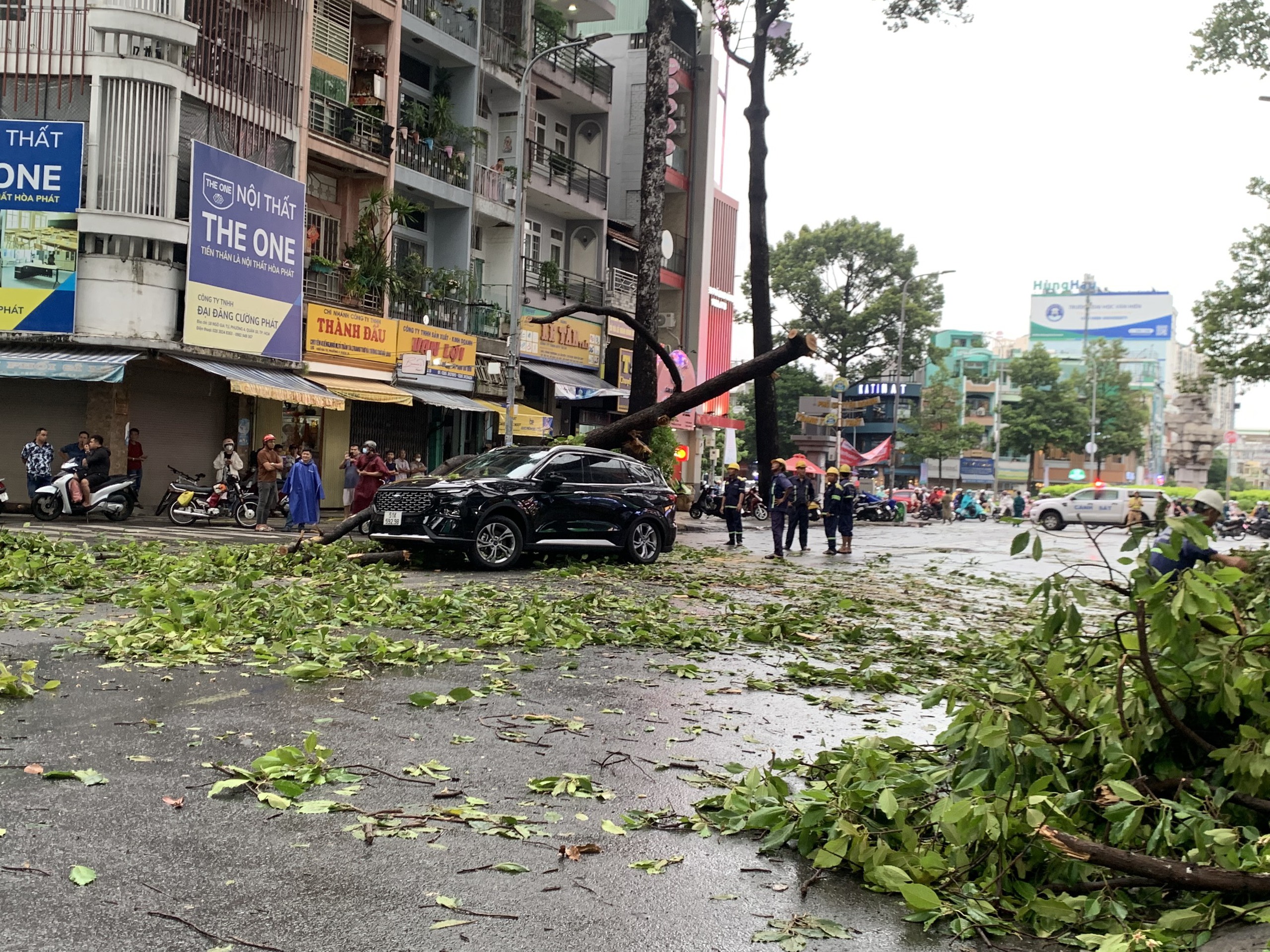 TP HCM: Nhiều c&acirc;y xanh bật gốc, &ocirc; t&ocirc; gặp nạn tr&ecirc;n đường Ng&ocirc; Gia Tự 
- Ảnh 1.