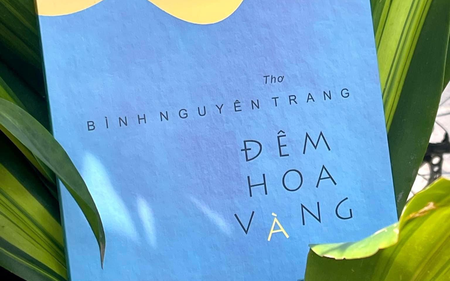 Ra mắt tập thơ "Đêm hoa vàng"