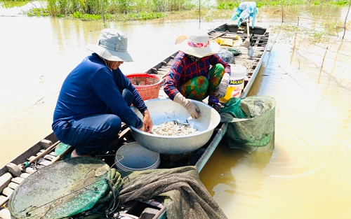 Miền Tây ngóng "lũ đẹp"