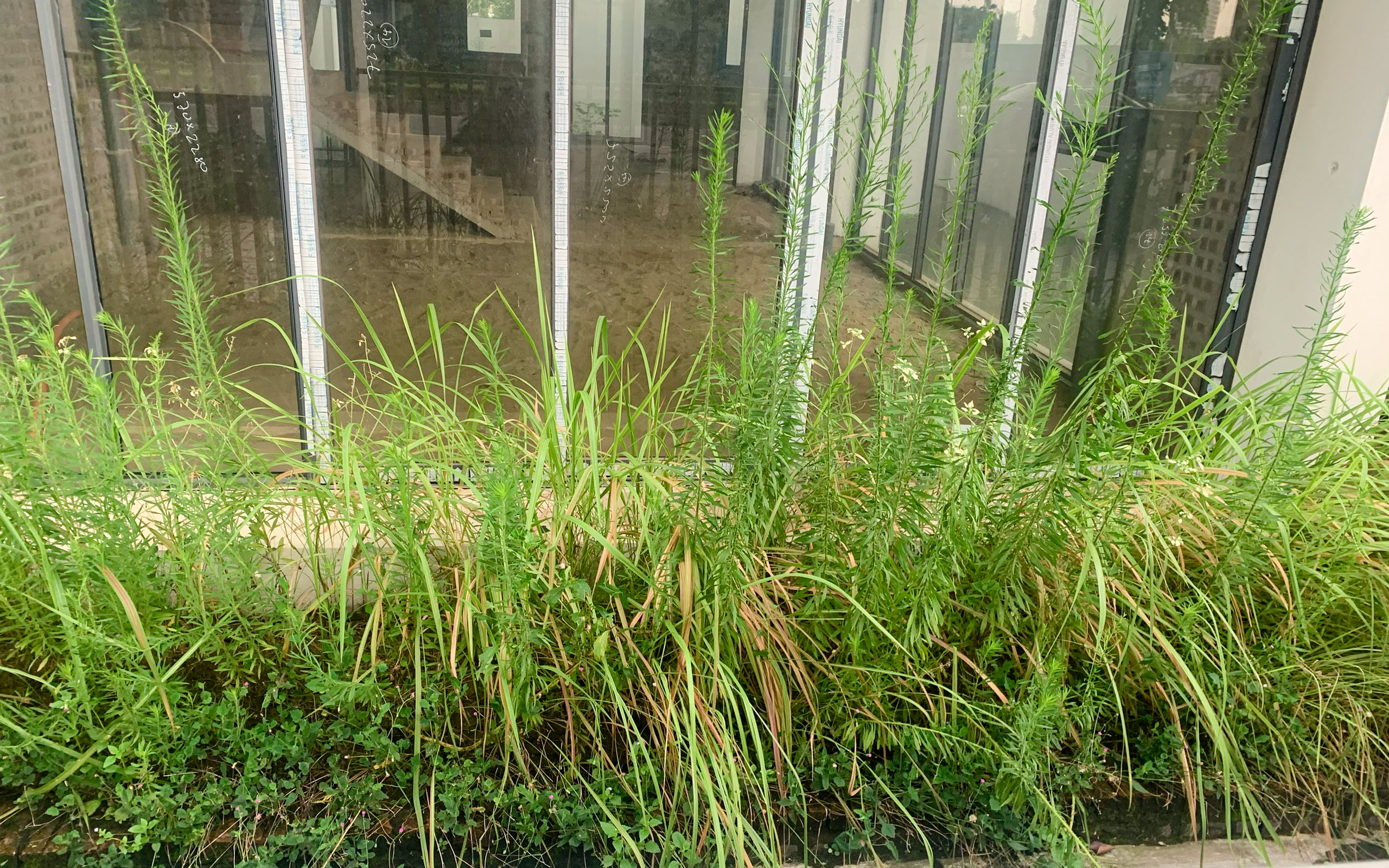 Cảnh hoang t&agrave;n b&ecirc;n trong biệt thự tại khu đ&ocirc; thị hơn 7.000 tỉ ở H&agrave; Nội- Ảnh 10.