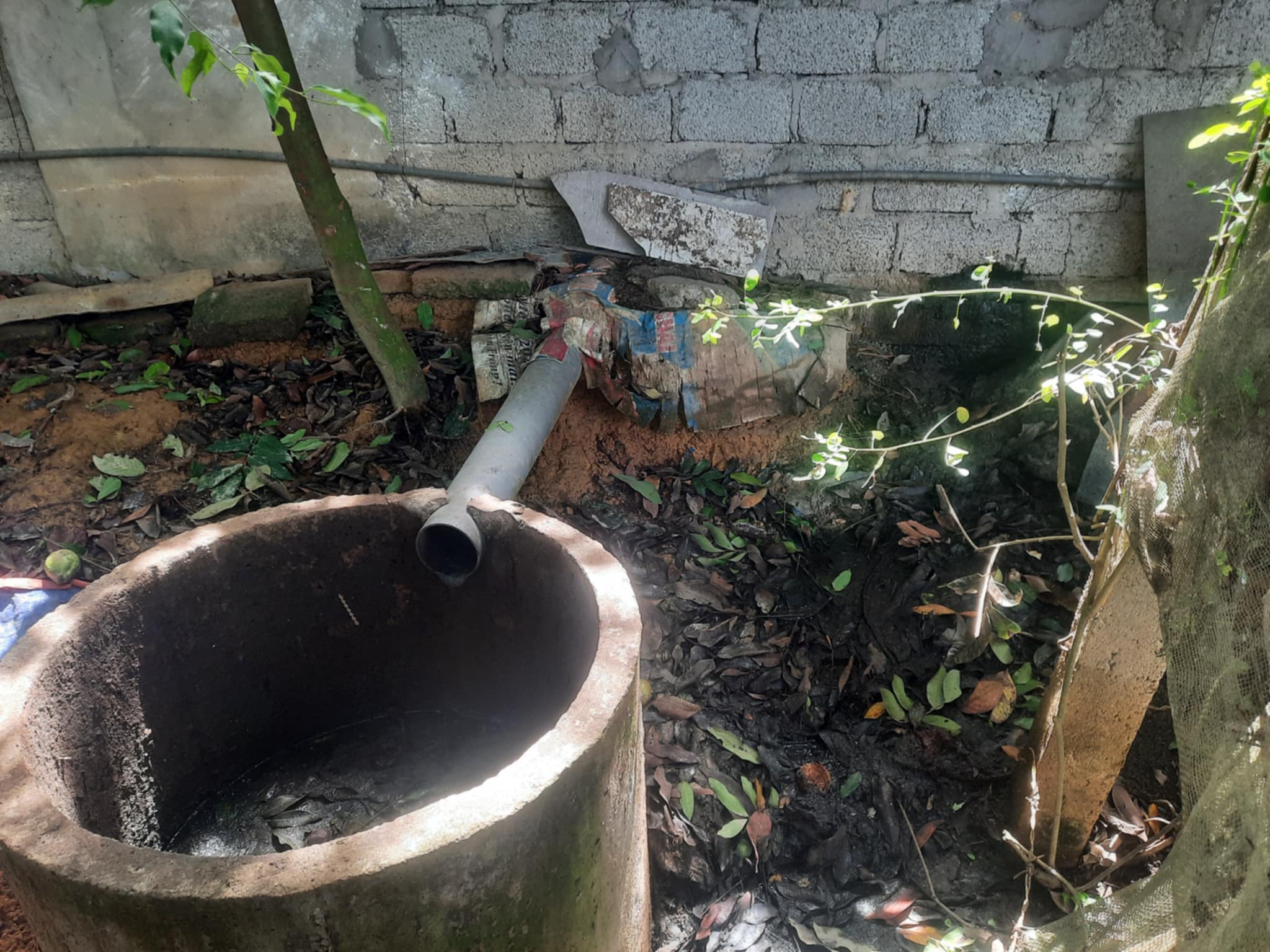 Gần 5 năm bị &ldquo;tra tấn&rdquo; bởi m&ugrave;i h&ocirc;i thối từ chuồng nu&ocirc;i heo g&acirc;y &ocirc; nhiễm- Ảnh 2.