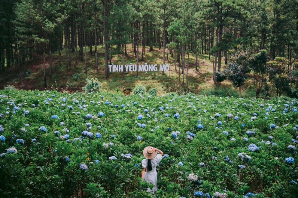 A person standing in a field of flowers Description automatically generated