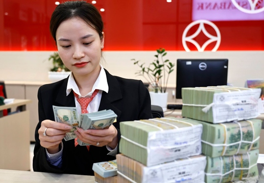 Nhiều doanh nghiệp cạn kiệt d&ograve;ng tiền, thiếu vốn lưu động nhưng kh&oacute; tiếp cận vốn t&iacute;n dụng Ảnh: LAM GIANG