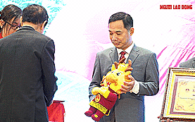 &ldquo;Tự h&agrave;o cờ Tổ quốc&rdquo;: 5 năm &ldquo;l&ecirc;n rừng xuống biển&rdquo;, 4 kỷ lục Việt Nam