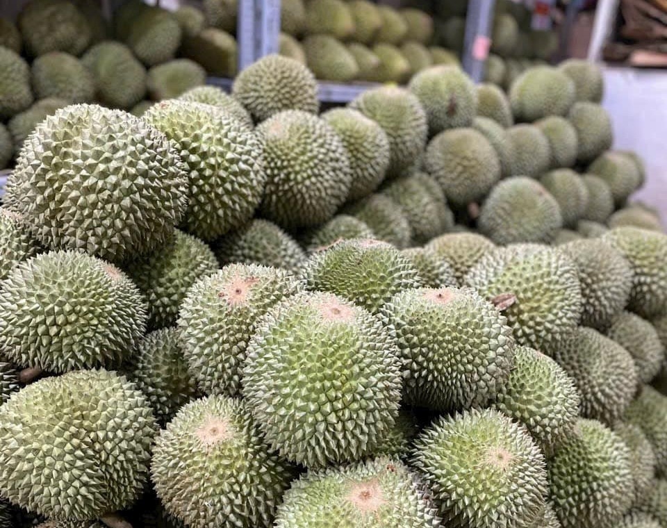 Th&ecirc;m một loại sầu ri&ecirc;ng "độc - lạ" rớt gi&aacute; mạnh- Ảnh 2.