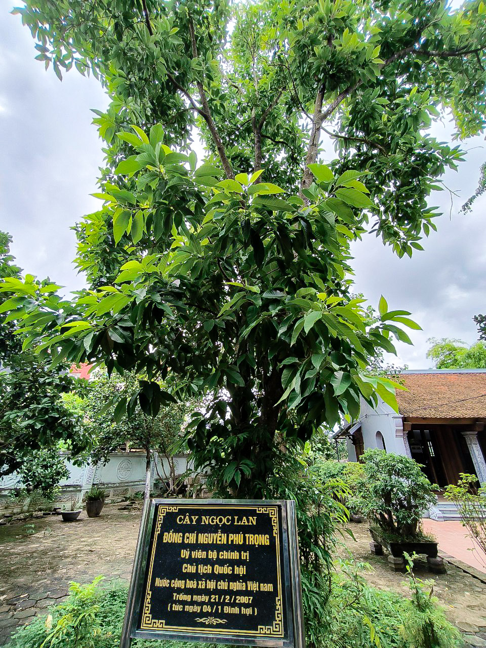 H&igrave;nh ảnh những hoạt động của Tổng B&iacute; thư Nguyễn Ph&uacute; Trọng tại qu&ecirc; nh&agrave;- Ảnh 10.