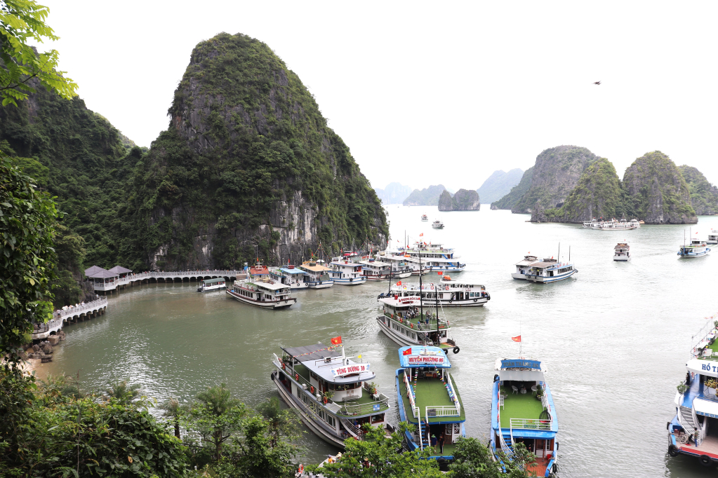 Quảng Ninh cấm biển từ 12 giờ ng&agrave;y 22-7- Ảnh 1.