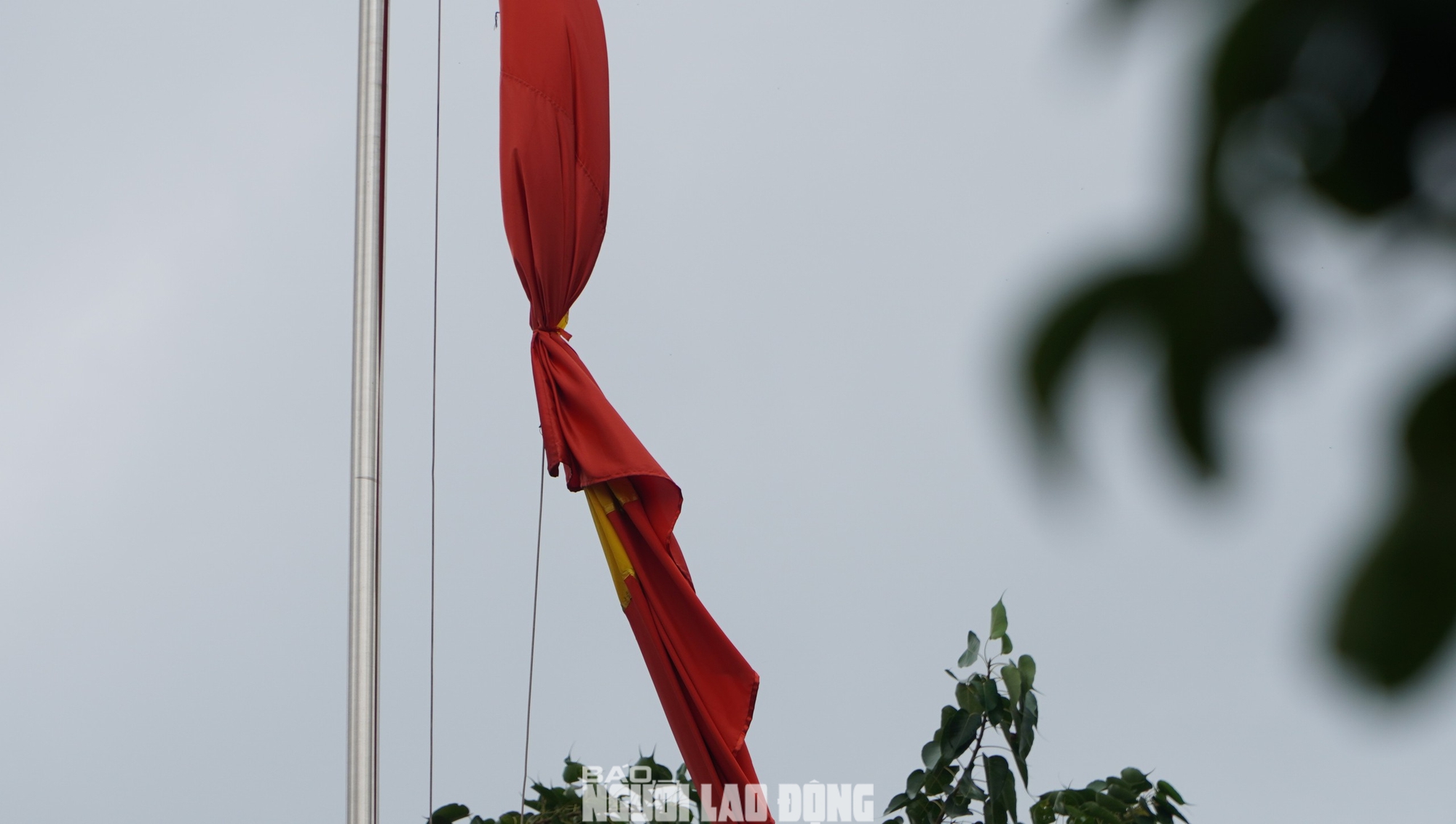 TP HCM: Nhiều trụ sở treo cờ rủ tưởng nhớ Tổng B&iacute; thư Nguyễn Ph&uacute; Trọng trước ng&agrave;y Quốc tang- Ảnh 11.